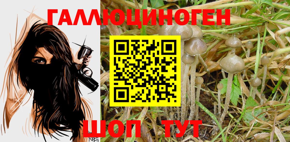 Псилоцибиновые грибы Magic Shrooms Саратов